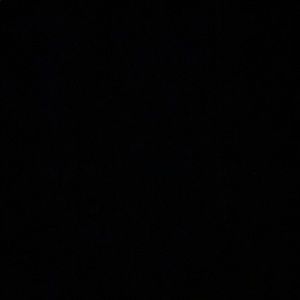 Meet your Posher, Mia